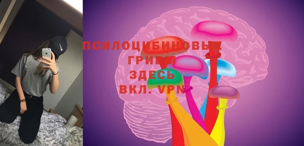 круглые Покачи