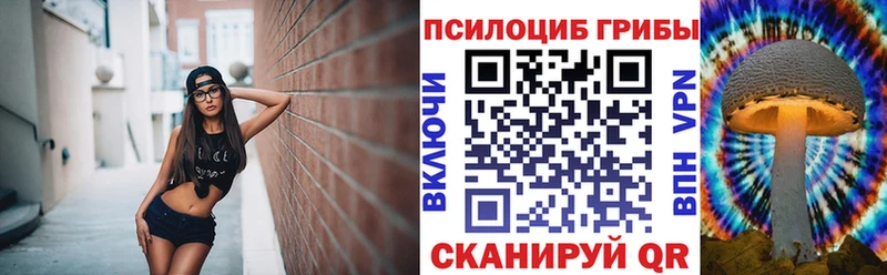 Купить  Канаш  Псилоцибиновые грибы MAGIC MUSHROOMS 